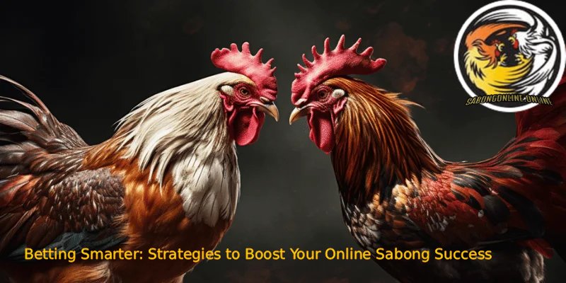 Sabong Online: 1 The Most Trusted Arena for Modern Betting 5 Betting Smarter Strategies to Boost Your Online Sabong Success