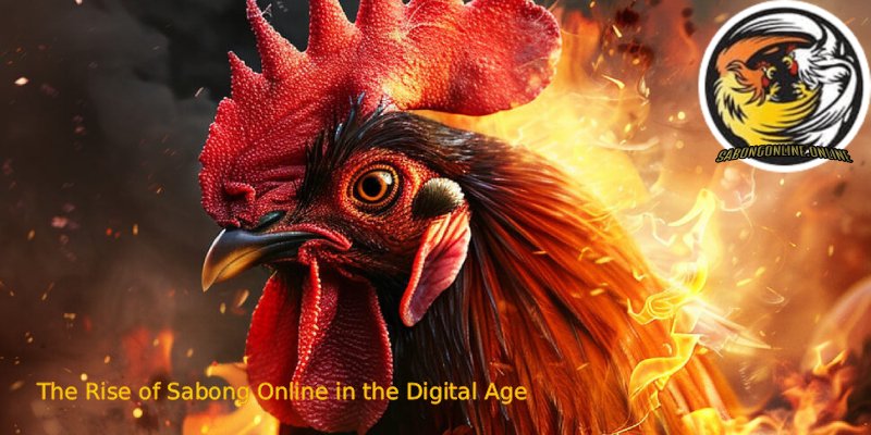 Sabong Online: 1 The Most Trusted Arena for Modern Betting 2 The Rise of Sabong Online in the Digital Age