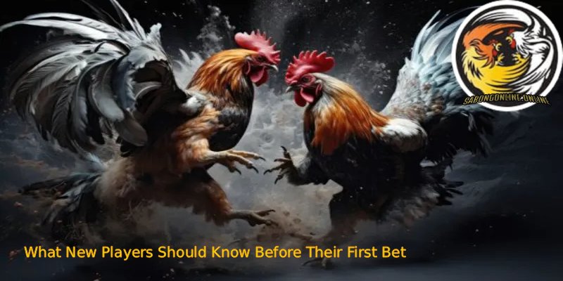 Sabong Online: 1 The Most Trusted Arena for Modern Betting 7 What New Players Should Know Before Their First Bet