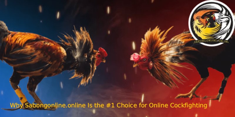 Sabong Online: 1 The Most Trusted Arena for Modern Betting 3 Why Sabongonline.online Is the 1 Choice for Online Cockfighting