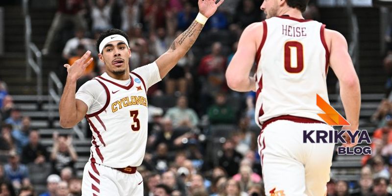 The Best Options in Krikya11 Sports Betting
